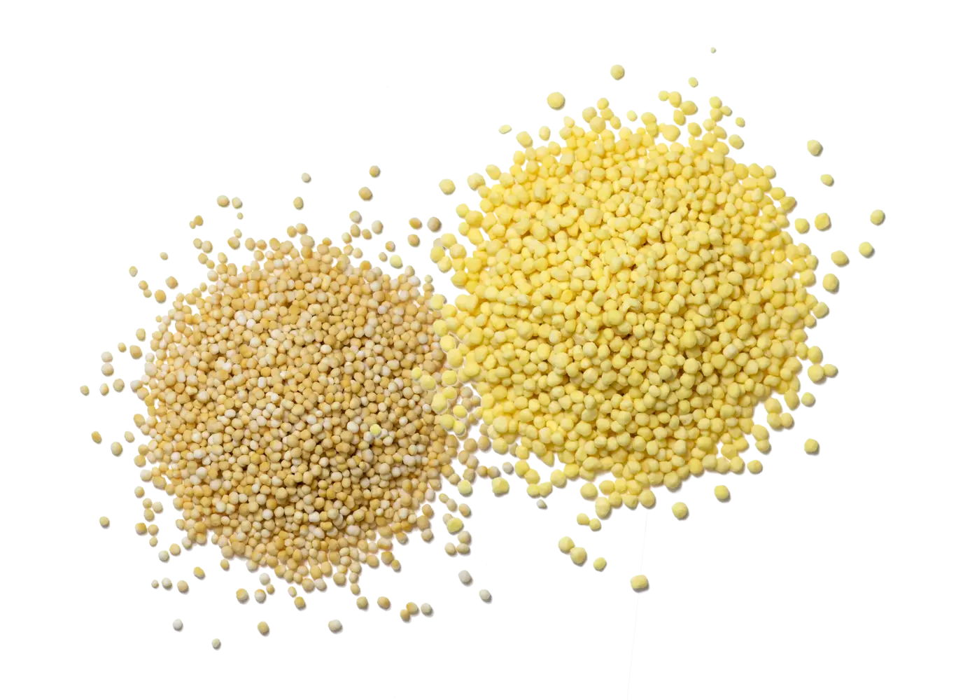 Ein Rohstoffbild vom Nährstoff Folsäure