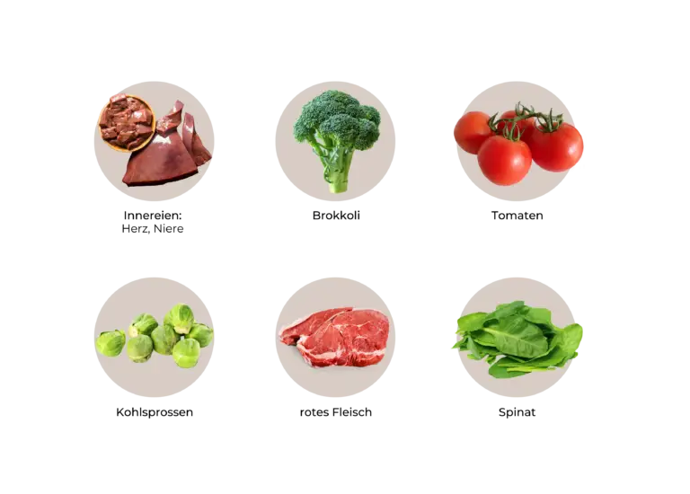 Liste an ALA reichen Lebensmitteln