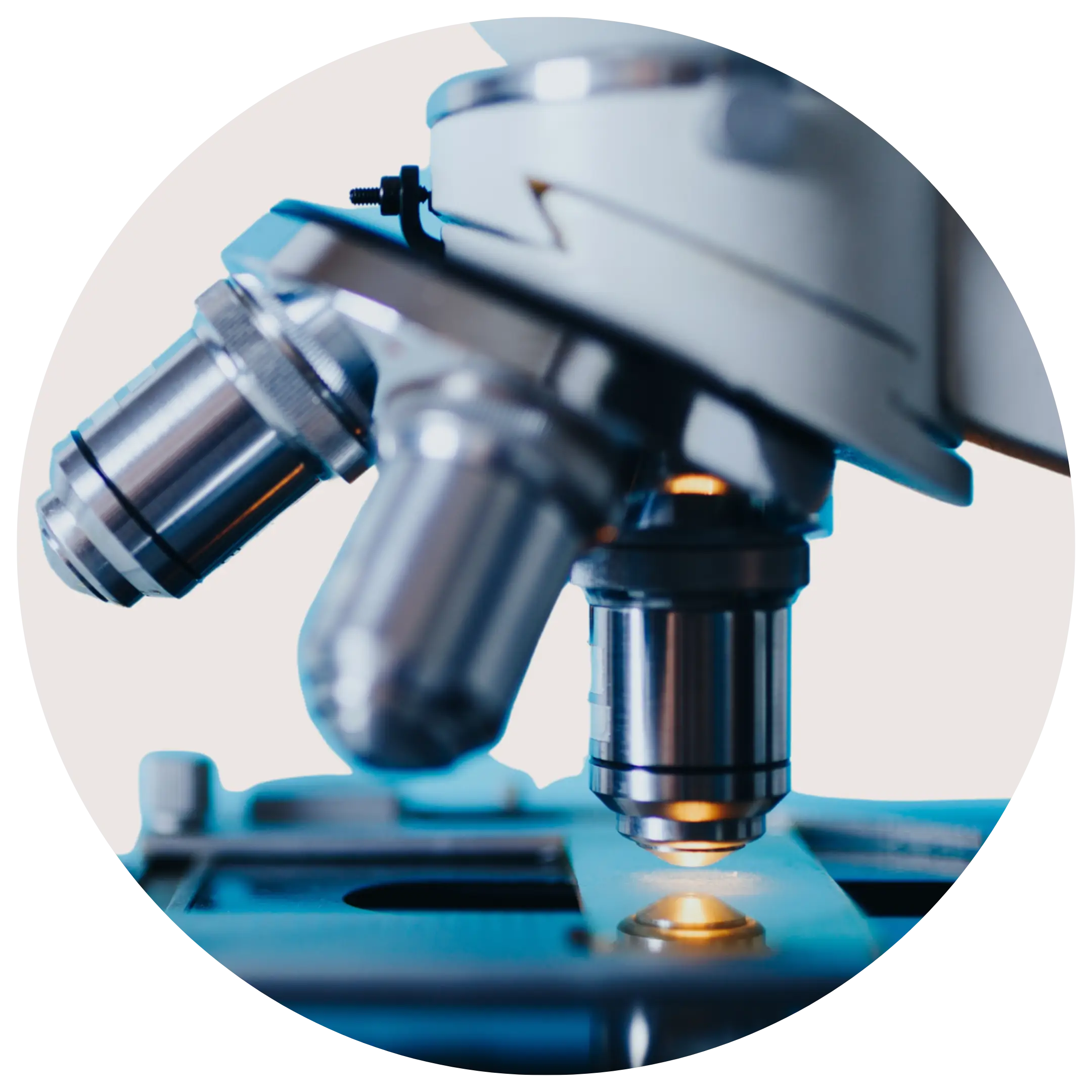 Personalisierte Gesundheitsvorsorge durch die Fachexpertise aus den Bereichen Biologie, Medizin und Technologie