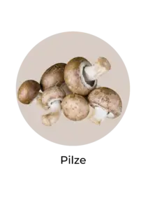 Pilze