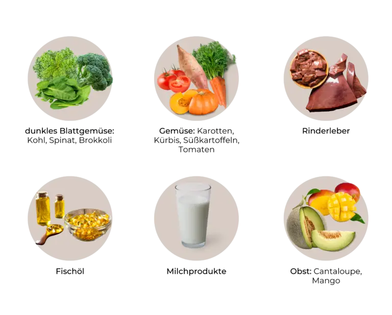 Liste an Vitamin A-reichen Lebensmitteln