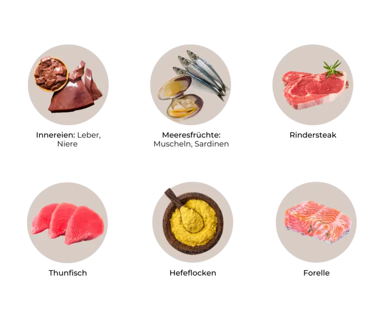 Liste an Vitamin B12-reichen Lebensmitteln