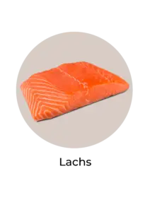 Lachs