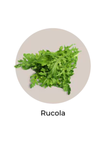 Icon Rucola als calciumreichens Lebensmittel