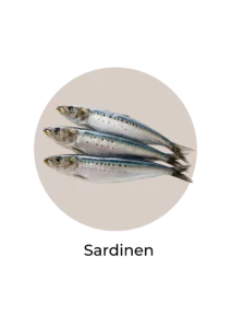 Icon Sardinen als calciumreichens Lebensmittel