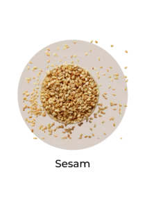 Icon Sesam als calciumreichens Lebensmittel