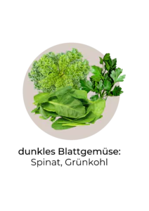 Icon dunkelgrünes Blattgemüse als calciumreichens Lebensmittel