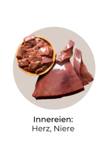 Icon von eisenreichen Lebensmitteln