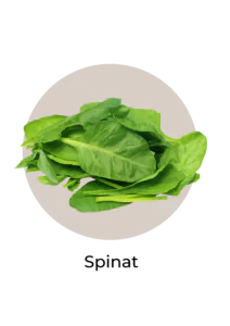 Spinat