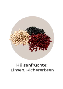 Icon von eisenreichen Lebensmitteln