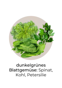 Abbildung von dunkelgrünem Blattgemüse, das reich an Hyaluronsäure ist