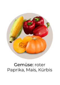 Abbildung von Gemüse, das reich an Lutein ist