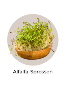 Abbildung von Alfalfa-Sprossen, die reich an MSM sind