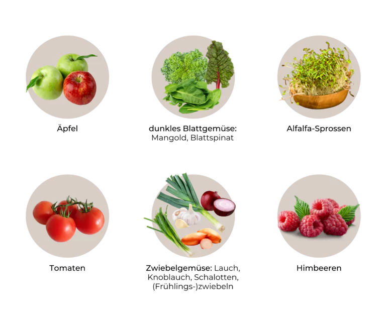 Liste an MSM-reichen Lebensmitteln