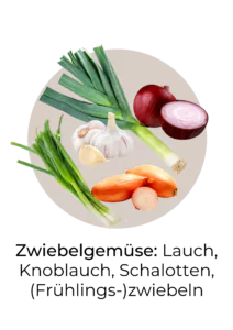 Abbildung von Lauchgemüse, das reich an MSM ist