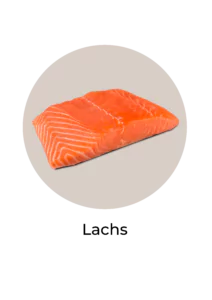 Abbildung von Lachs, der reich an Omega 3 ist