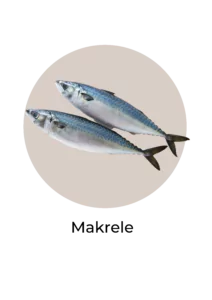 Abbildung von Makrelen, die reich an Omega 3 sind