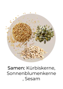 Abbildung von Samen, die reich an Phytosterole sind