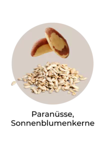 Nüsse und Kerne