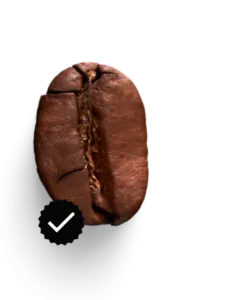 Perfekter Kaffeegenuss Tipps – hochwertige Bohnen, ideale Zubereitung und Genuss ohne Zusatzstoffe.